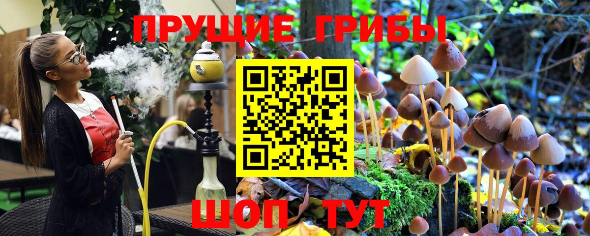 где найти   Вход с VPN  Липецк  Псилоцибиновые грибы Psilocybe 