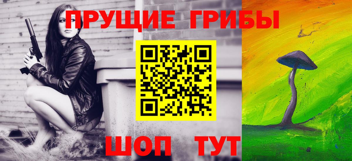 Псилоцибиновые грибы Cubensis Липецк
